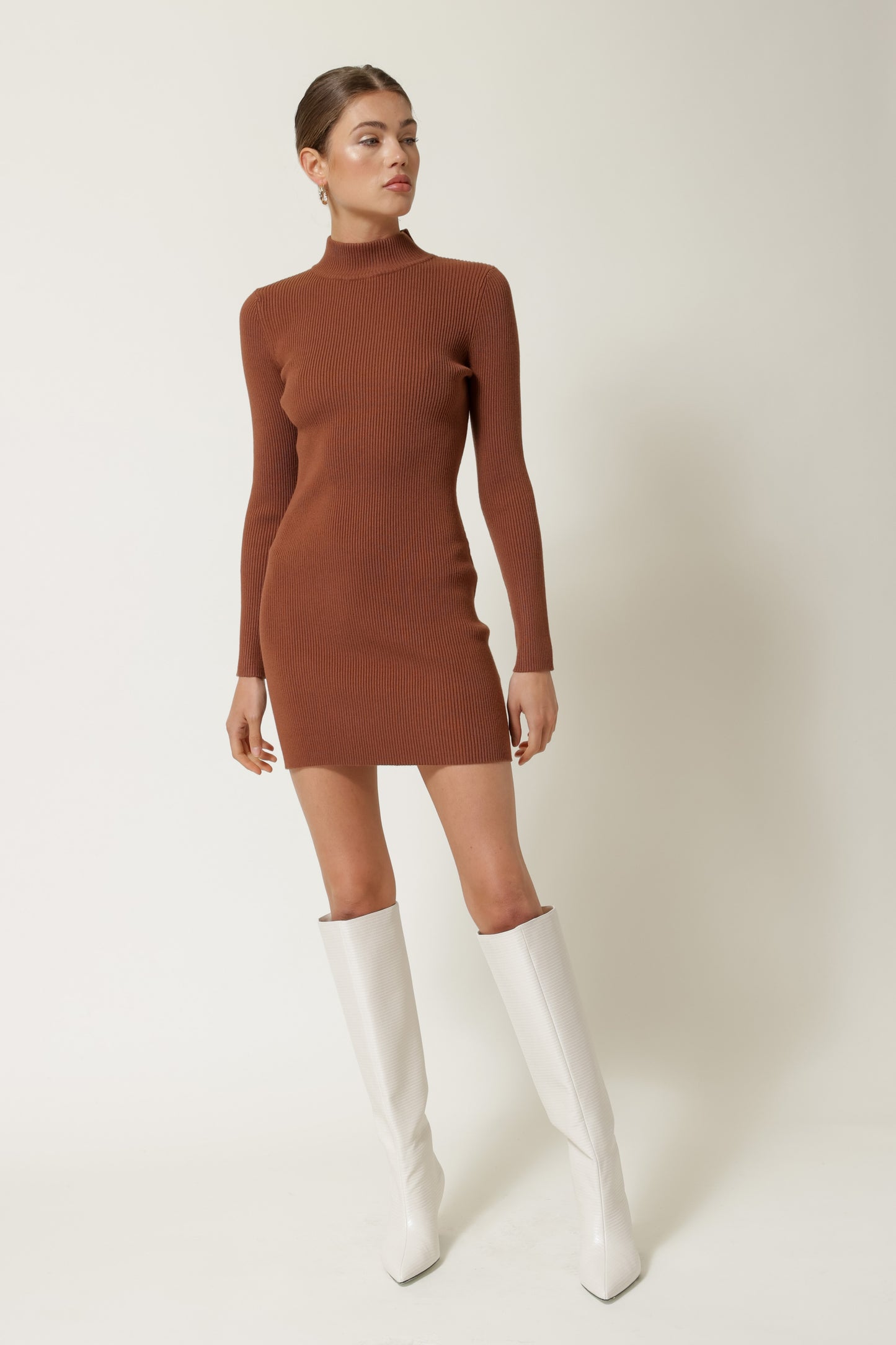 Mock Neck Long Sleeve Mini Dress